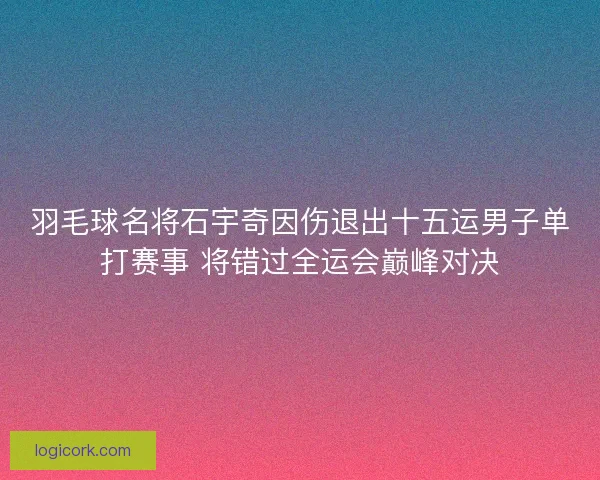 羽毛球名将石宇奇因伤退出十五运男子单打赛事 将错过全运会巅峰对决